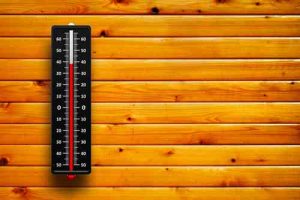 Thermometer Image copyright: Shutterstock/Oakozhan