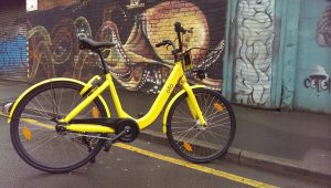 Photo of an Ofo bike