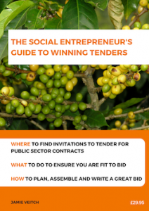 Cover of The Social Entrepreneur's Guide to Winning Tenders